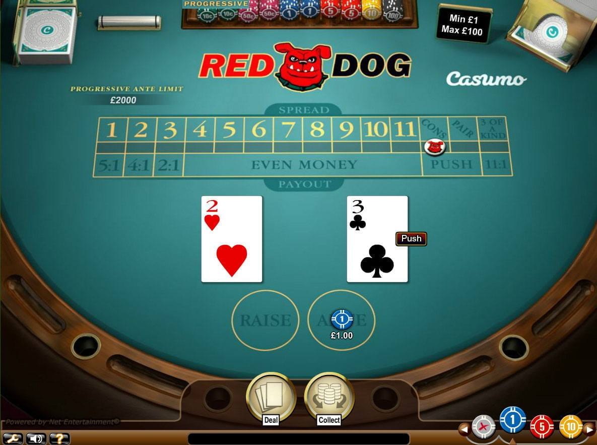 A Beginner's Guide to Playing at Red Dog Online Casino A Beginner's Guide to Playing at Red Dog Online Casino