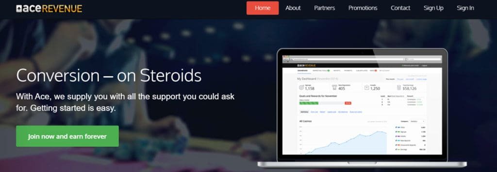 Interview with a Successful Ace Revenue Affiliate: Tips and Tricks for Beginners Interview with a Successful Ace Revenue Affiliate: Tips and Tricks for Beginners